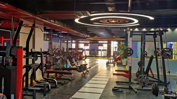 X Game Gym